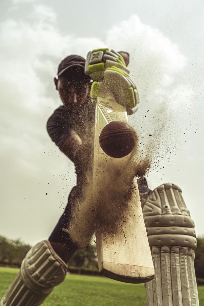 https://themplusa.org/wp-content/uploads/2025/07/cricket-5348883_1280.jpg