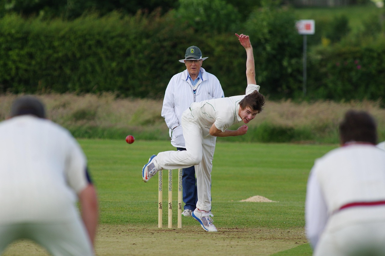 https://themplusa.org/wp-content/uploads/2025/07/cricket-724618_1280.jpg
